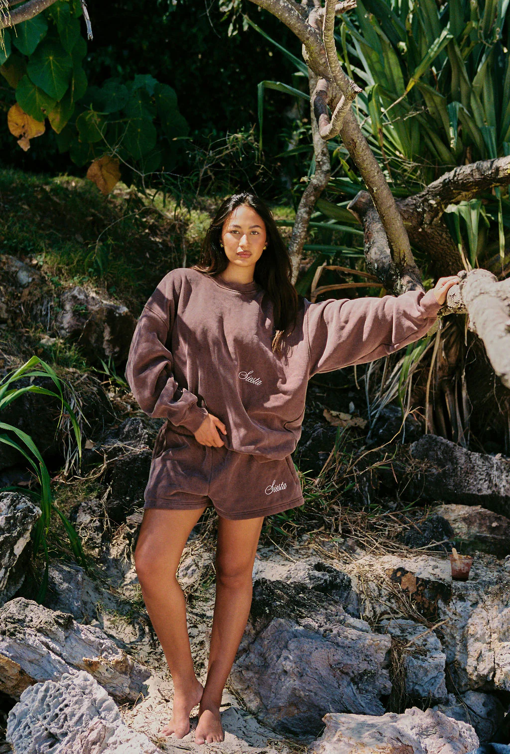 Hibiscus Staple Crew Neck - Vintage Brown - Image 4